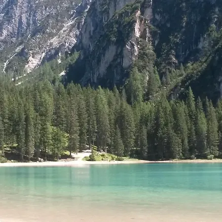 Nuovo Margiola Dolomiti * Calalzo di Cadore
