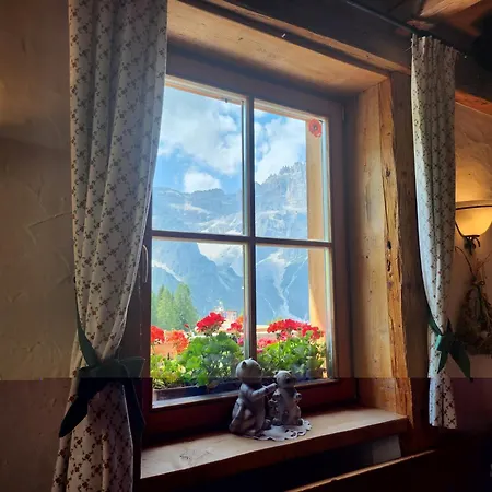 Nuovo Margiola Dolomiti